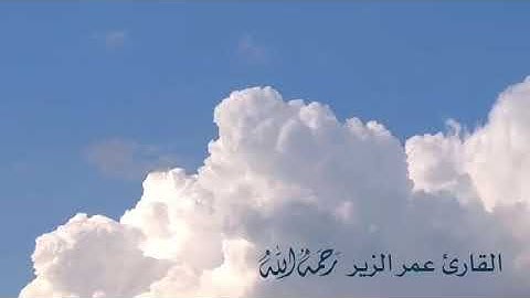 القارئ الشاب عمر الزير رحمه الله