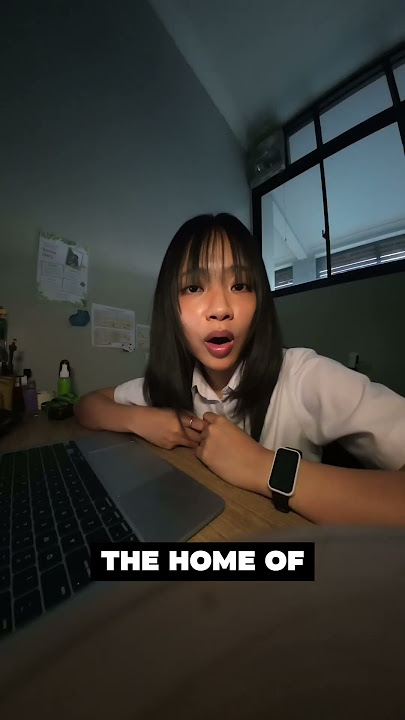 IS IT CENDOL OR DAWET? #indonesia #historyfacts #history #randomfacts #food