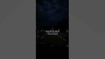 قران كريم|حالات واتساب|ماتيسر من"سورة العلق"الايه(١٣-١٩)القارئ إسلام صبحي❤️