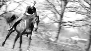 Jesse Drent and Andorra; Wings.
