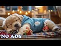 12 Hours of Dog Healing Music 🐕 Relaxation Music for Dogs 🎼 Gentle Sounds for Lonely Pets