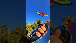 subscribe for morr😇🥀💞 #patang #kiteflying #viralvideo #youtubeshorts