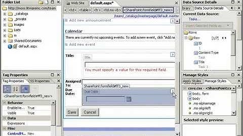 Create a Custom List Data Form with SharePoint Designer 2007