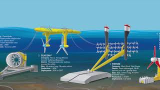 EESC19 Tidal power in the bay of Fundy 1002432129