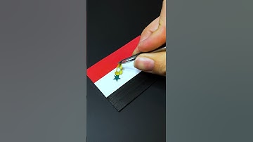 Drawing the flag of Syria 🇸🇾 What’s next? #art #painting #creative