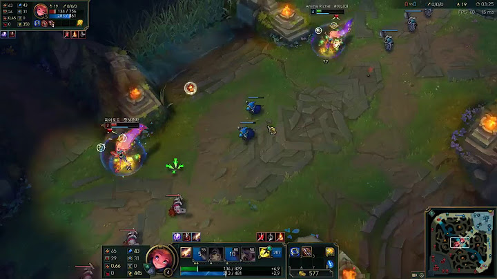 [5 / 20] 리그 오브 레전드 Anima vs Raise 클랜 내전!