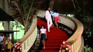 The Wanderer - Remington Steele