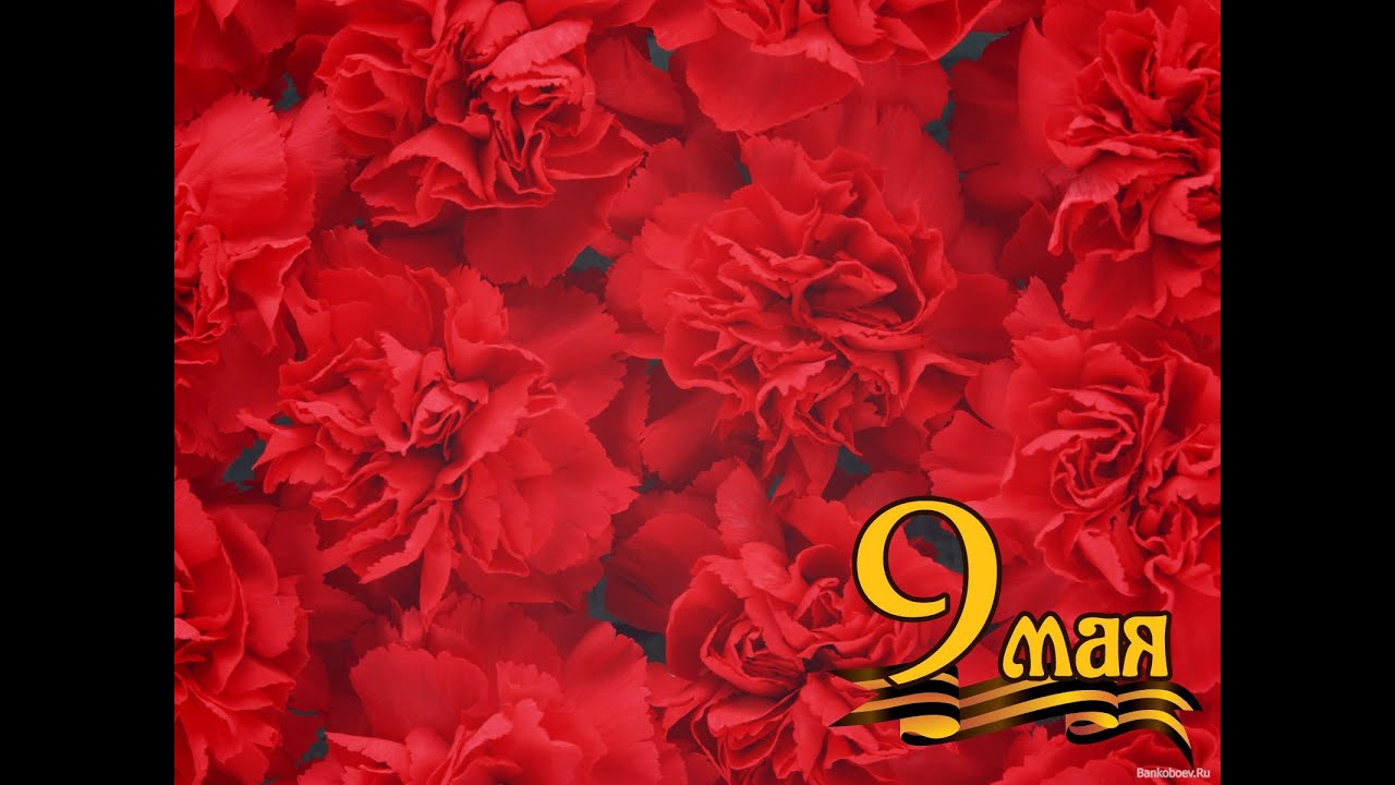 ДНТ Алгыс, Кыйы, Таатта. 9 мая 2018 год.