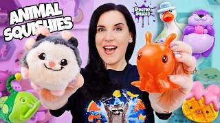 New SQUISHY Haul! Are These Animal Squishies Worth the $$?