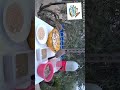 ١٩ أبريل ٢٠٢٦
