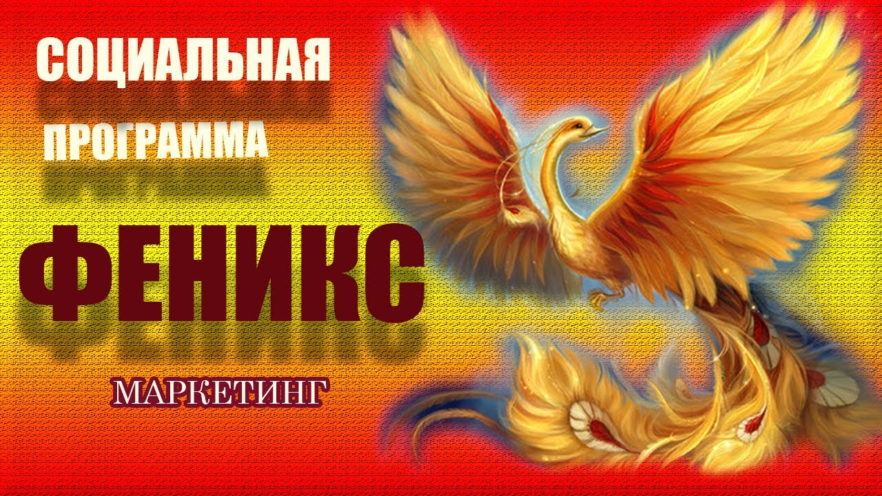 Социальная программа 
