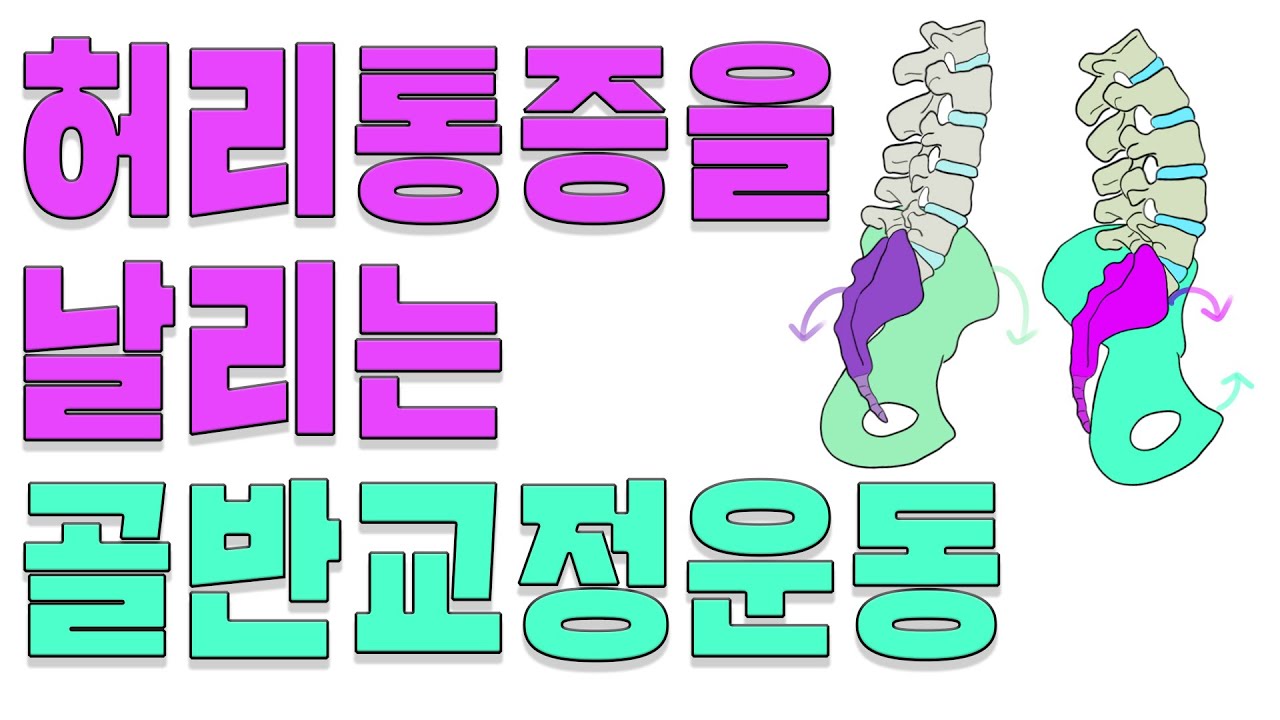 알 수 없는 허리통증(병원진단도 정상) 이럴 땐 골반 스포츠교정 운동 및 스트레칭(feat 골반움직임 바이오메카닉스)