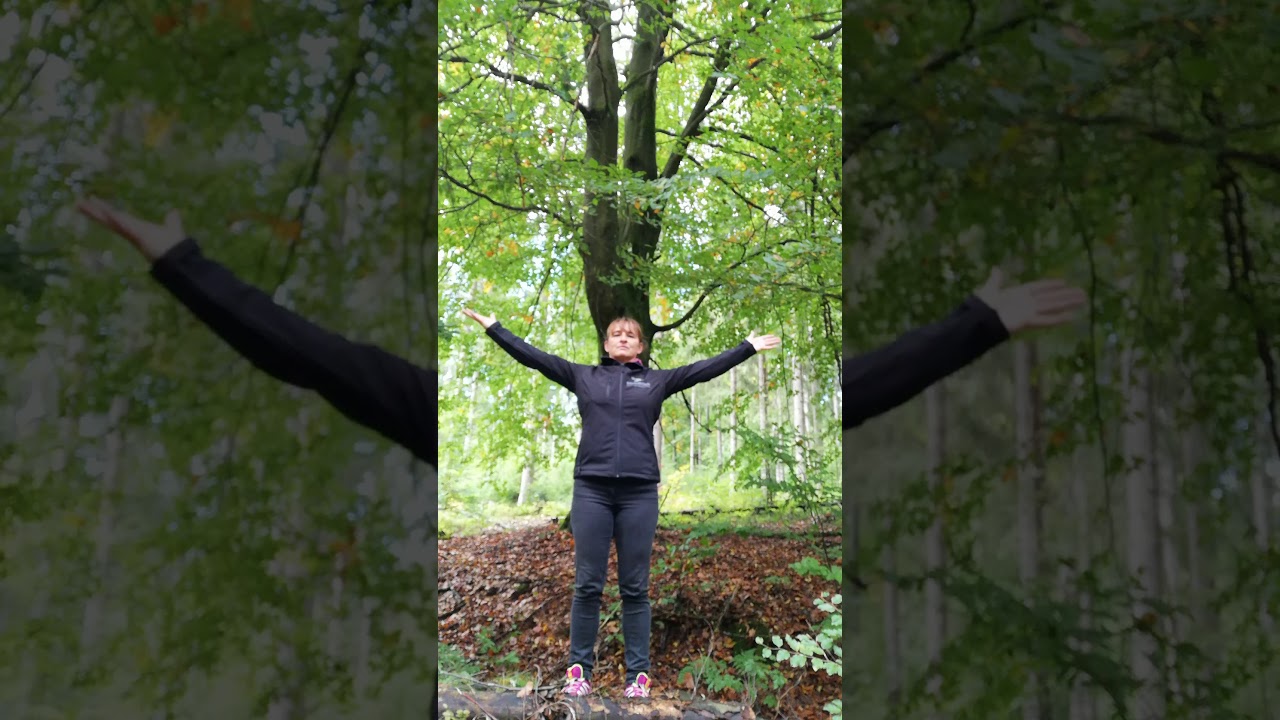 Bewegungen im Wald mit 