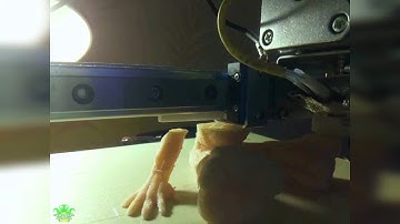 Waving Groot 3d print timelapse