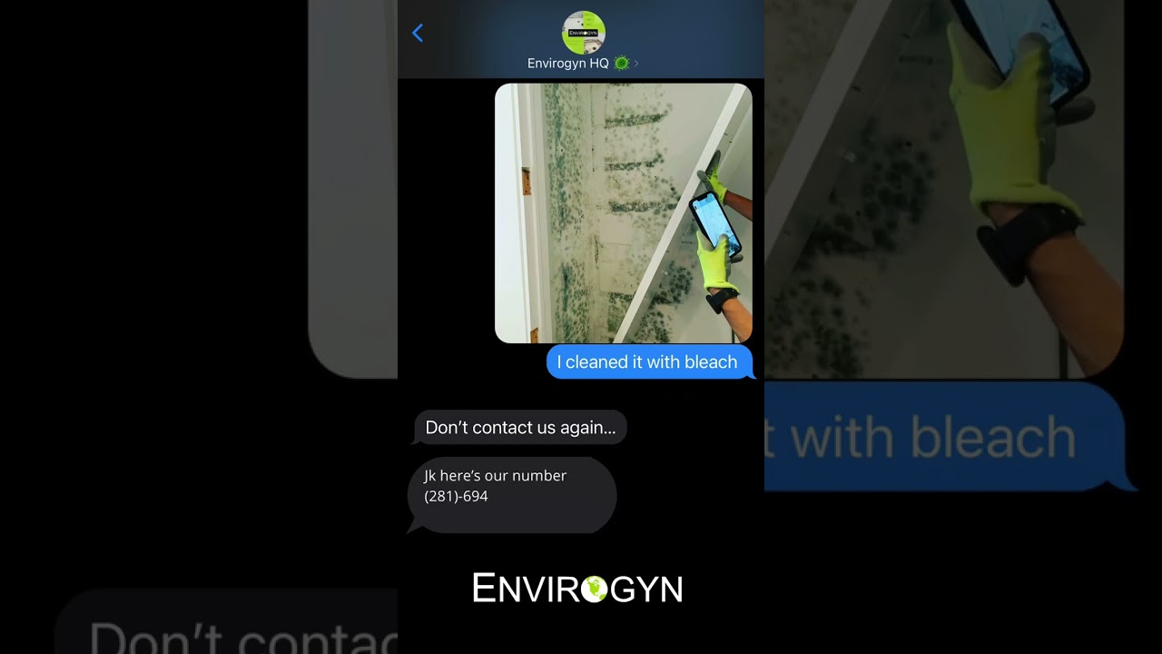 Title:  "Bleach vs. Mold: The Ultimate Showdown! 🥊 (You Won't Believe Who Wins!)