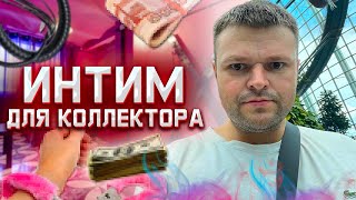 Предложил Интим Коллектору за Долги. Как не платить кредит