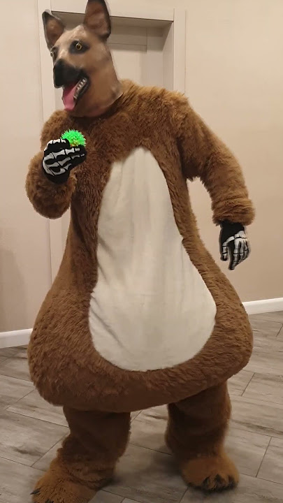 A big fat shaggy dog brings a glowing balls to his friend