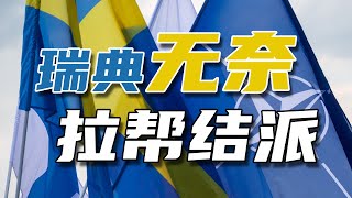 “中立”了200多年的瑞典，为什么要加入北约？