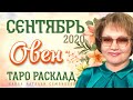 Овен таро прогноз на сентябрь 2020г