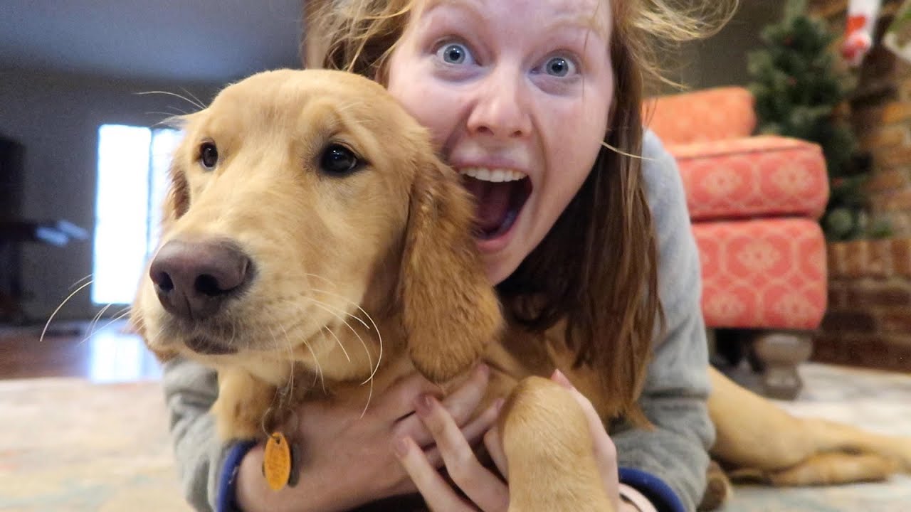 HITTING 1,000 FOLLOWERS ON INSTAGRAM Vlogmas Day 8 YouTube