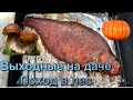 ДАЧА. В ЛЕС ЗА ГРИБАМИ. КАК КОПТИТЬ РЫБУ? ОВОЩИ НА ОГОРОДЕ