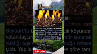 Bayburt’ta Bulunan Kehribar Rezervi