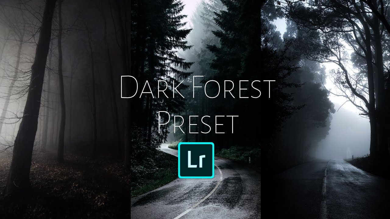 Cinematic Dark Forest Preset | Lightroom | Android Tutorial