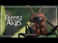 Les Fourmis video