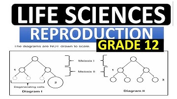 HUMAN REPRODUCTION: GRADE 12 LIFE SCIENCES : BY M.SAIDI (GET ANSWERED)