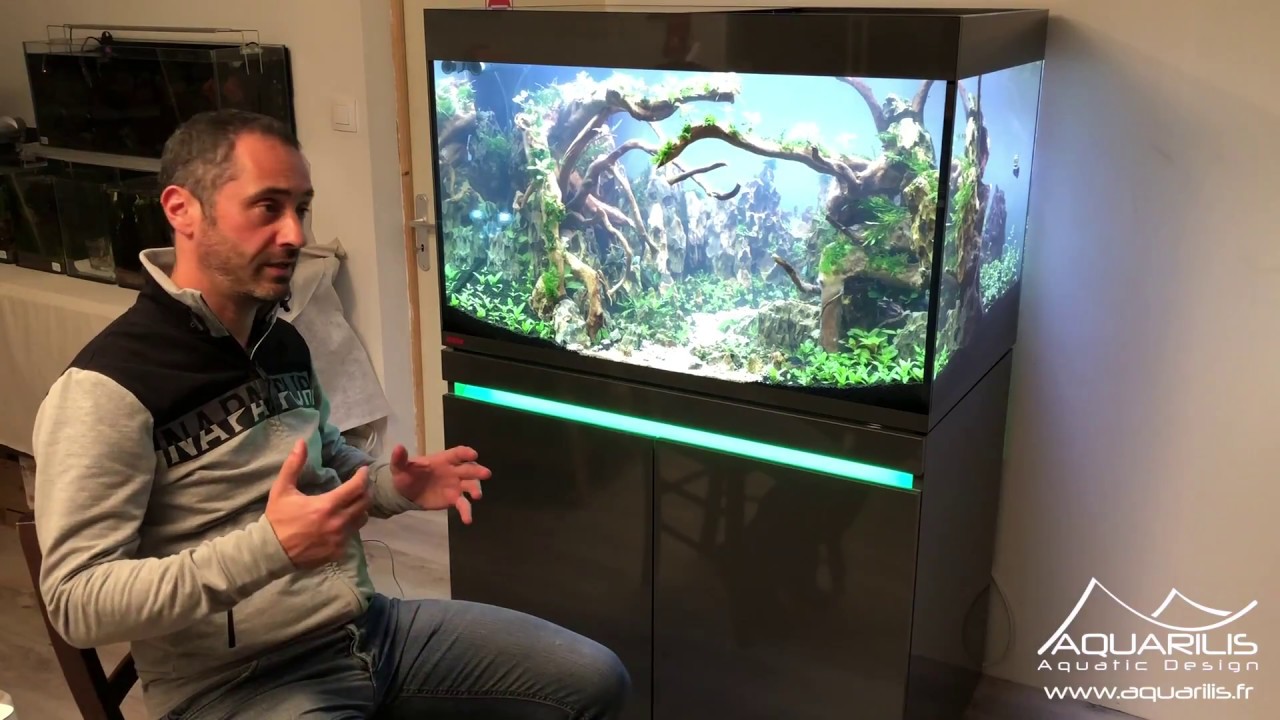 Aquascaping в аквариуме Eheim Incpiria 330 - Лоран Гарсия
