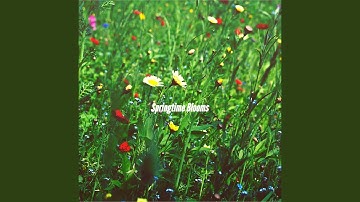 Pulsating Ambience for Slow Paces