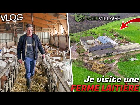 Vidéo: Rôtir Une Chèvre, Soutenir Une Ferme - Réseau Matador