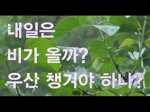 [Video C] 내일은 비가 올까 안 올까? 속담으로 풀어보니...