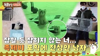 [TV 동물농장 레전드] 매일 밤 학교로 등교하는 족제비 VS 내돈내산 포획틀 선생님 풀버전 다시 보기 I TV동물농장 (Animal Farm) | SBS Story