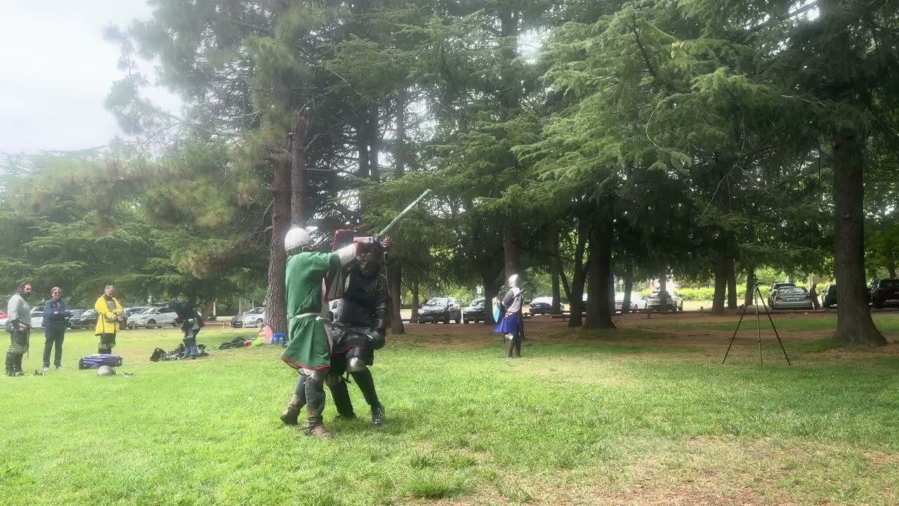 1/1/26 Count Stephen vs Huscarl Ulf