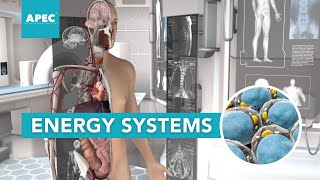ENERGY SYSTEMS | APEC Courses