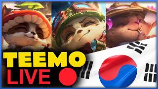 KR Teemo - 600 LP GM PUSH