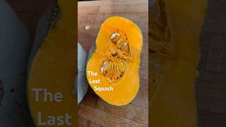 The Last Squash #abundance #hungergap #growyourown #storage @REDGardens