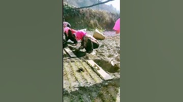 The process of growing vegetables - good tools and methods can improve efficiency