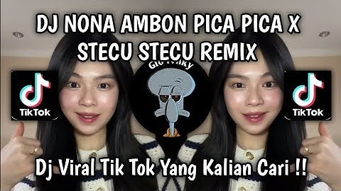 DJ NONA AMBON PICA PICA X STECU STECU REMIX TERBARU 2025!
