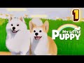 MY LITTLE PUPPY - GAMEPLAY ITA #1 - No Commentary