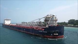 ALGOMA INTREPID - Downbound Port Huron, Michigan 7-31-2025