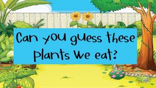 Plant Parts We Eat