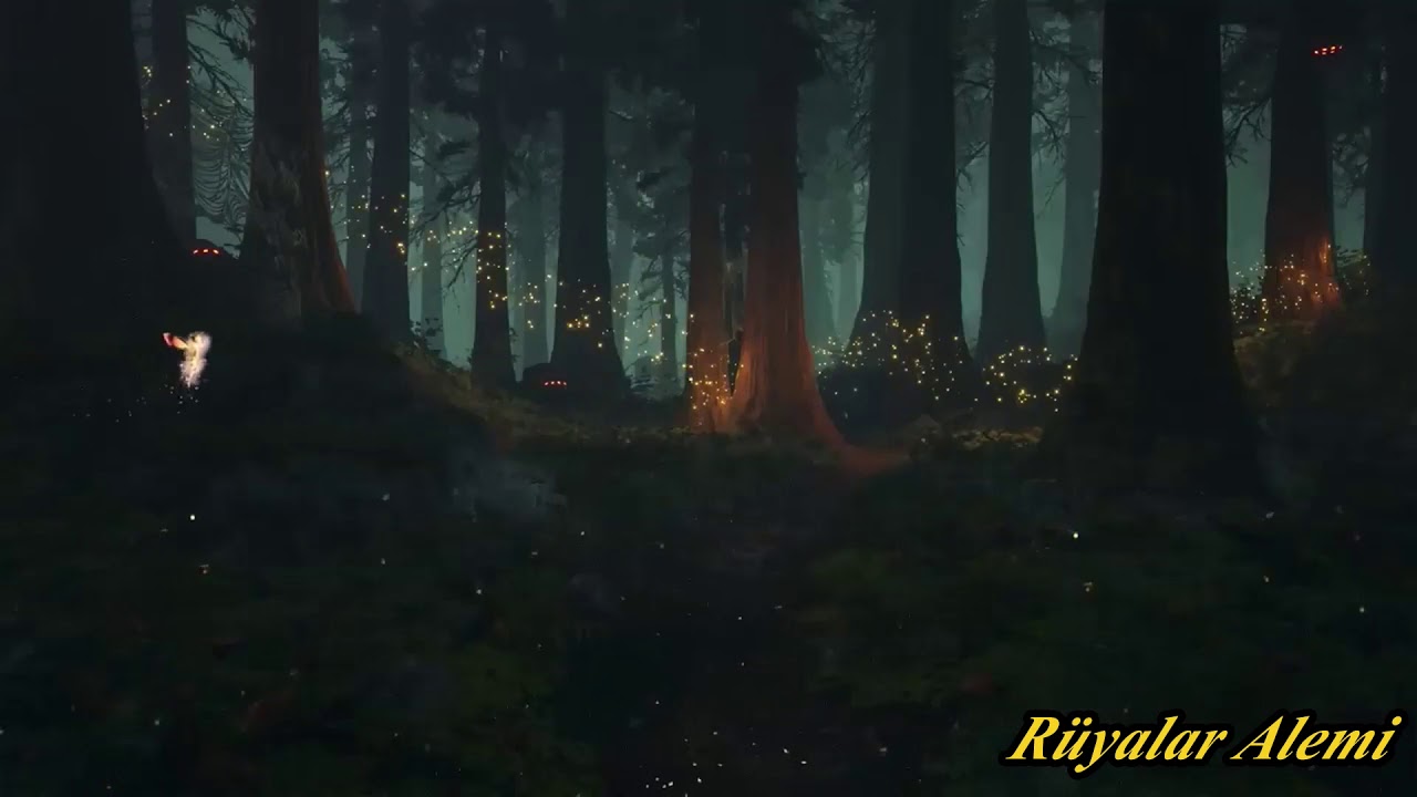 Orman Doğa CırCır Böceği ve Yaz Gecesinin Rahatlatıcı Sesleri