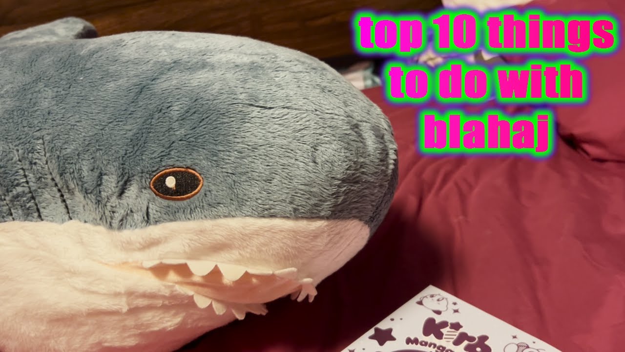 top 10 things to do with blåhaj