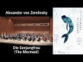 Capture de la vidéo Alexander Von Zemlinsky: Die Seejungfrau (The Mermaid) A.v.ツェムリンスキー：交響詩「人魚姫」