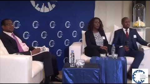 Maud Chifamba vs Minister of Finance - Mthuli Ncube