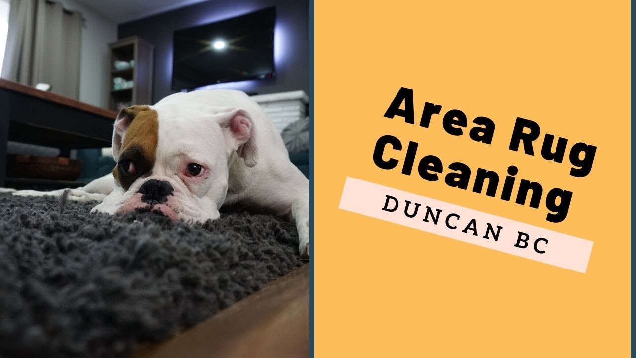 Area Rug Cleaning Duncan BC YouTube
