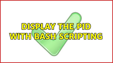 Display the PID with bash scripting