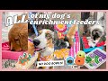 ALL of our Enrichment Feeders, Puzzles, &amp; Snuffle Mats that My Dogs Use INSTEAD OF BOWLS!